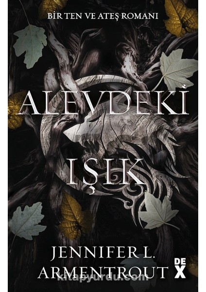 Ten ve Ateş 2 / Alevdeki Işık