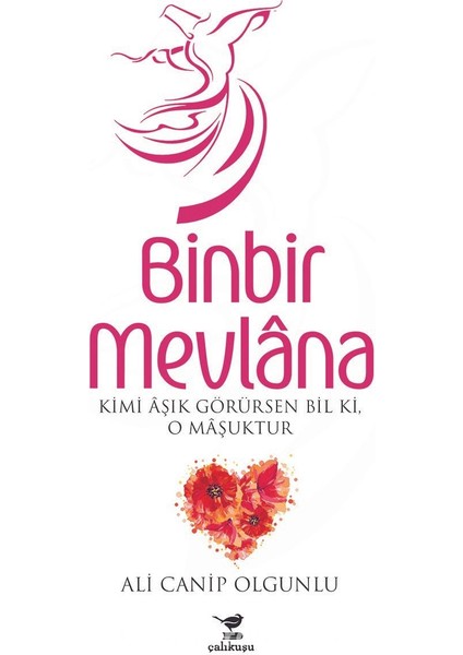 Binbir Mevlana Kimi Aşık Görürsen Bil Ki, O Maşuktur