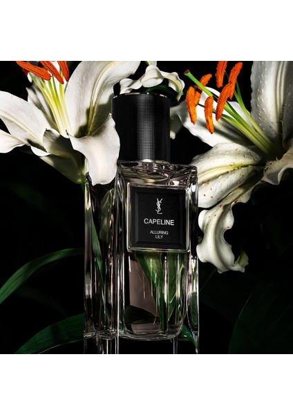 Le Vestiaire Des Parfums Capeline modelleri