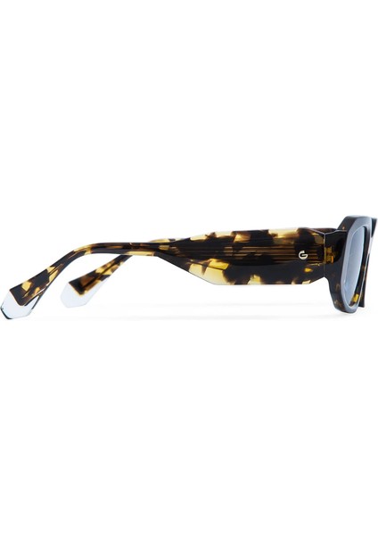 GVS005A Danielle Siyah Havana Asetat Kadın Güneş Gözlüğü modelleri