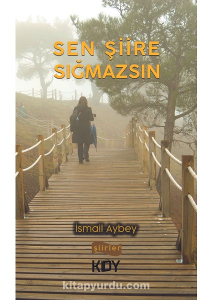 Sen Şiire Sığmazsın