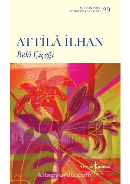 Bela Çiçeği (Karton Kapak)