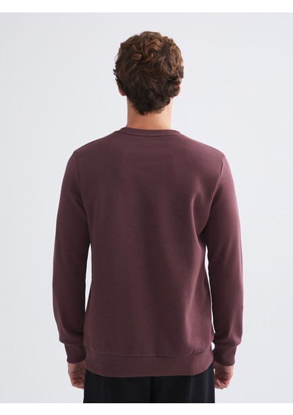 Yeni Sezon Bisiklet Yaka Baskılı Erkek Sweatshirt fırsatları