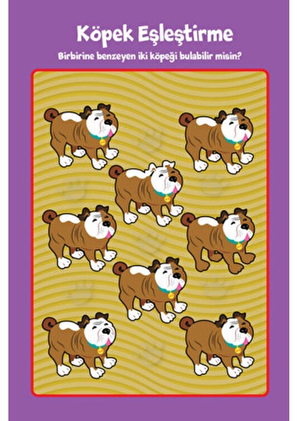 Highlights Puzzlemania Eğitici Kitap Seti 6-8 Yaş Kolektif Yazar