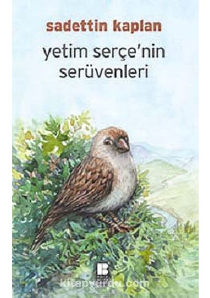 Yetim Serçe'nin Serüvenleri
