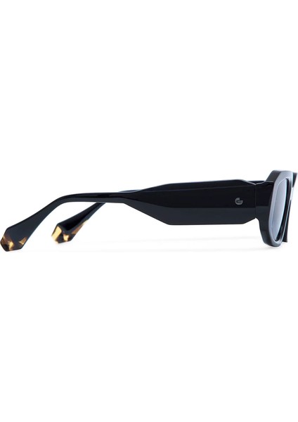 GVS005A Danielle Siyah Asetat Kadın Güneş Gözlüğü modelleri