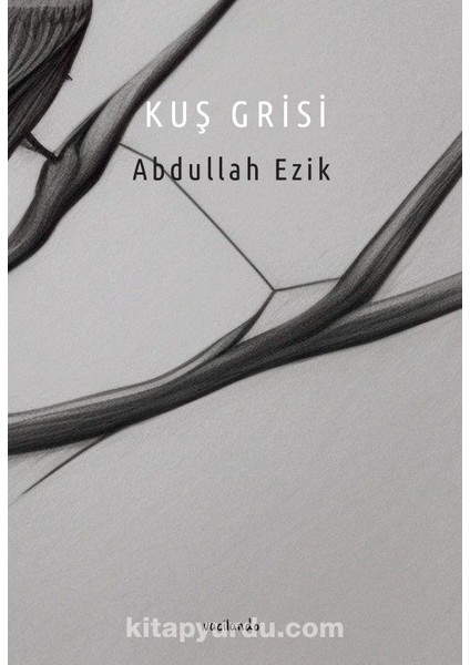 Kuş Grisi