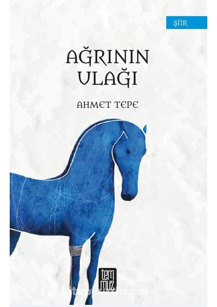 Ağrının Ulağı