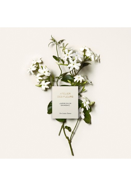 Atelier Des Fleurs Jasminium Sambac 150 ml modelleri