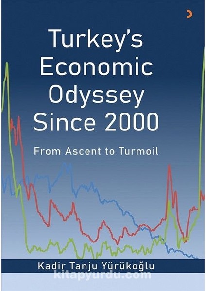 Turkey’s Economic Odyssey Since 2000