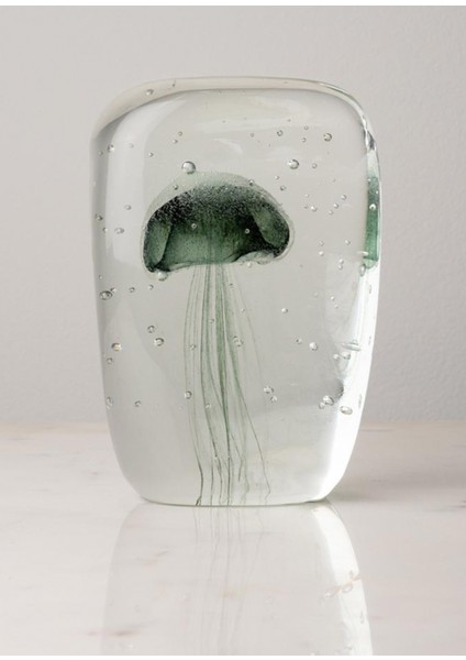 Jellyfishes Cam 3'lü Dekoratif Obje modelleri