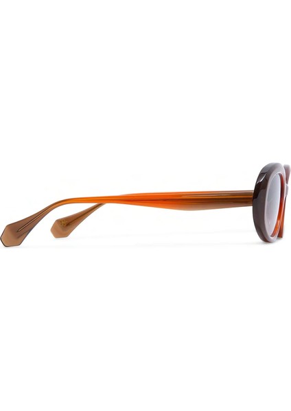 Anja 6971 9 Kızıl Kahve Asetat Kadın Güneş Gözlüğü modelleri