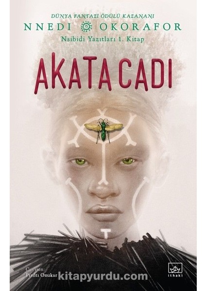 Akata Cadı / Nsibidi Yazıtları 1. Kitap