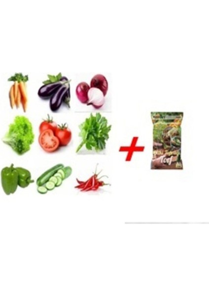 60 Adet Karışık Sebze Tohumu + Toprak Hediyeli