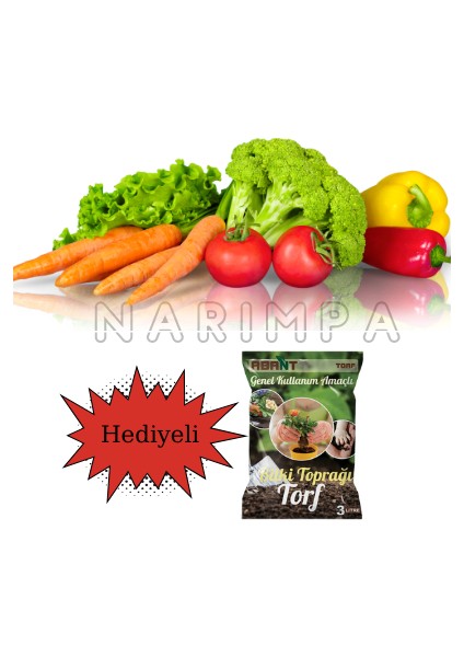 60 Adet Karışık Sebze Tohumu + Toprak Hediyeli fiyatları