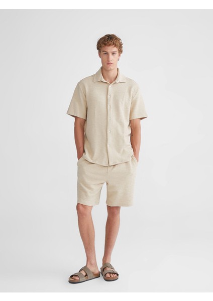 Yeni Sezon Standart Kalıp Erkek Şort