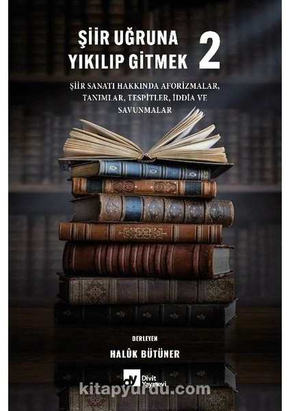 Şiir Uğruna Yıkılıp Gitmek 2
