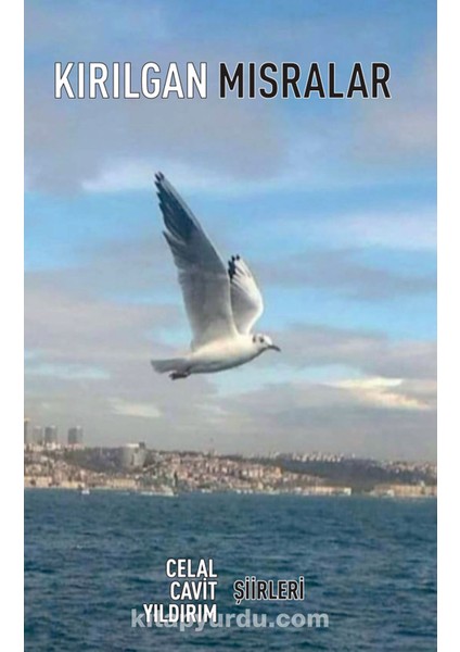 Kırılgan Mısralar