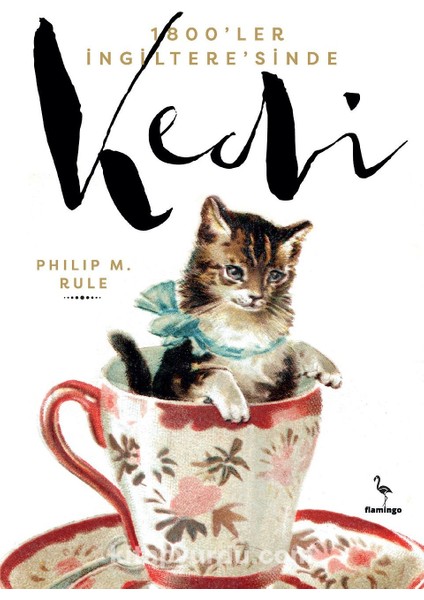 1800’LER Ingiltere’sinde Kedi