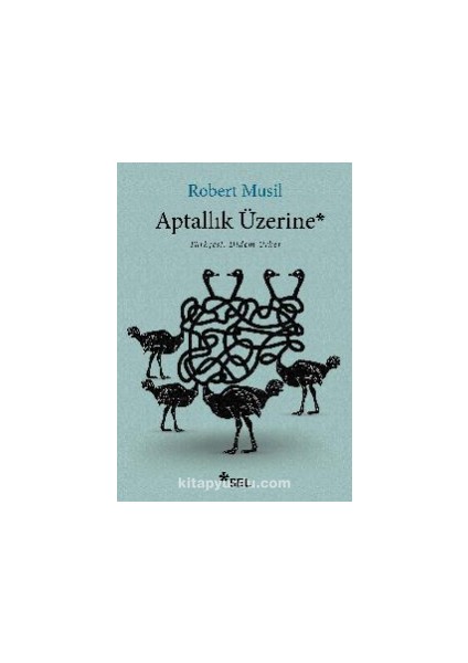 Aptallık Üzerine