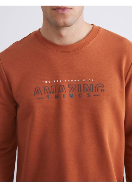 Yeni Sezon Bisiklet Yaka Baskılı Erkek Kalın Sweatshirt modelleri