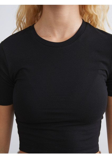 Yeni Sezon Bisiklet Yaka Kadın Crop modelleri