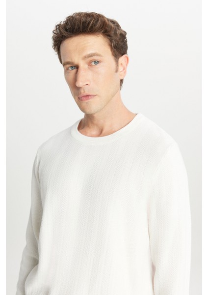 Pamuklu Standart Fit Normal Kesim Bisiklet Yaka Jakarlı Triko Kazak fırsatları