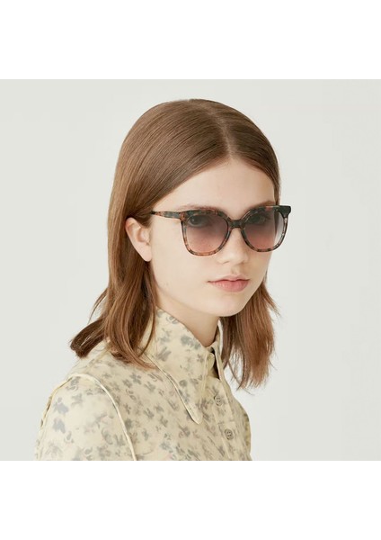 Xs Alaia 6688 0 Mavi Pembe Havana Asetat Kadın Güneş Gözlüğü modelleri