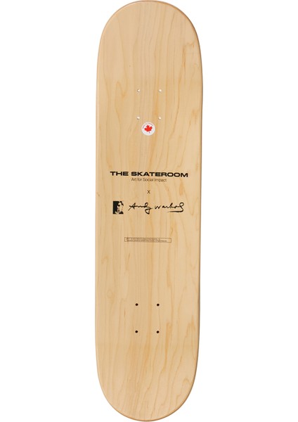 Andy Warhol Colored Campbells Soup Kaykay Tablo fiyatları