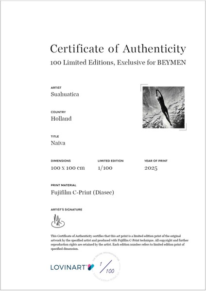 Naiva By Suahuatica Hollanda Diasec Tablo indirimleri