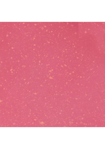 Loveshine Rvs 209 Ruj fiyatları