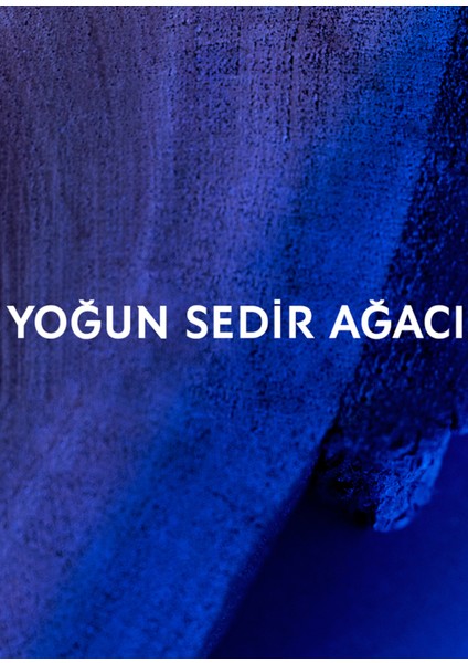 Y Men Le Parfum 60ML indirimleri