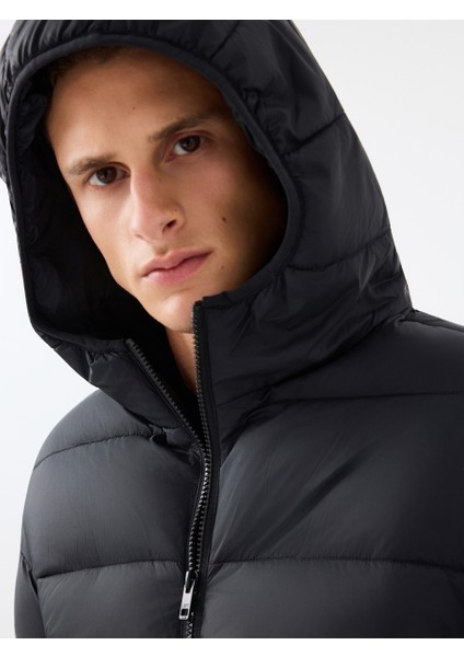 Regular Fit Erkek Mont fırsatları