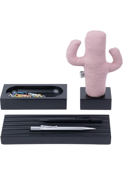Kayigo Siyah Woody Pembe Cactus Üçlü Set