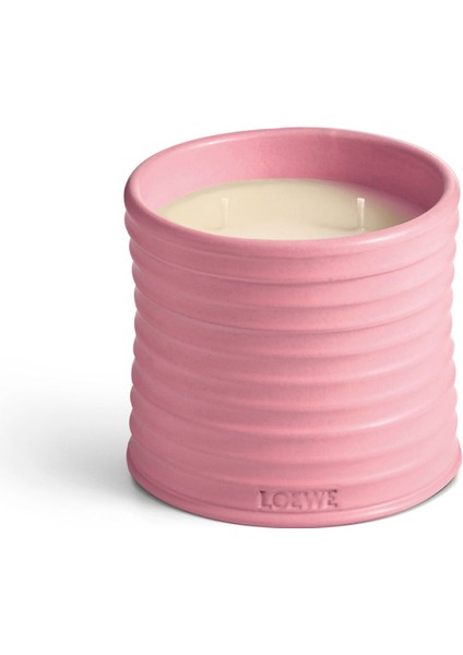 Ivy Medium 610 gr Mum