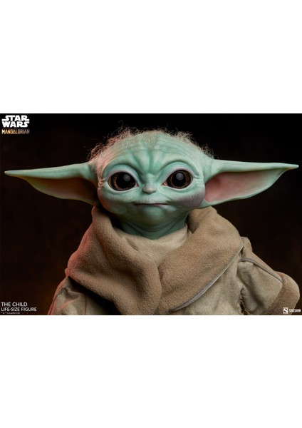 The Child Heykel fiyatları