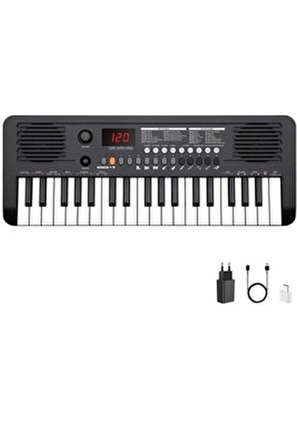 Sapphire MK-1537 37 Tuş Hassasiyetli Org (Adaptör Hediye) - Siyah