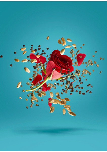 Blend Groovexcape Edp 50ML Unisex Parfüm fırsatları