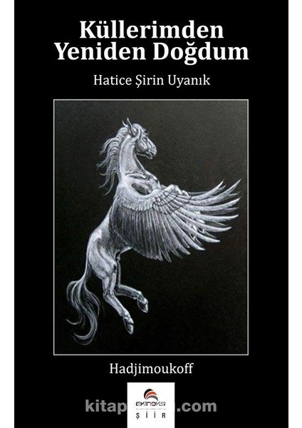 Küllerimden Yeniden Doğdum