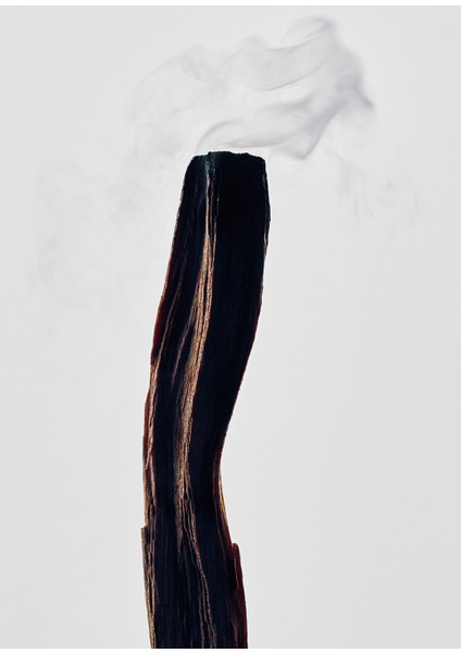 Palo Santo Medium 610 gr Mum modelleri