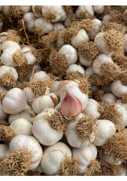 Taşköprü Sarımsağı 5 kg