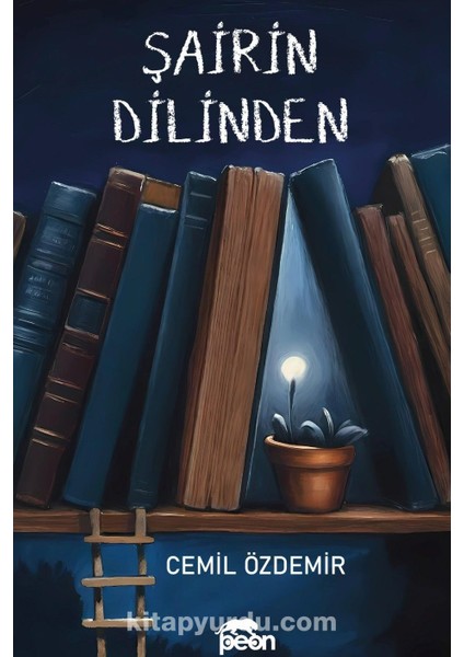 Şairin Dilinden