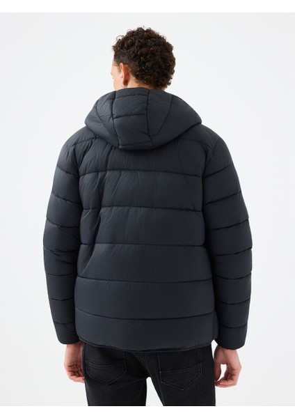 Regular Fit Erkek Mont modelleri