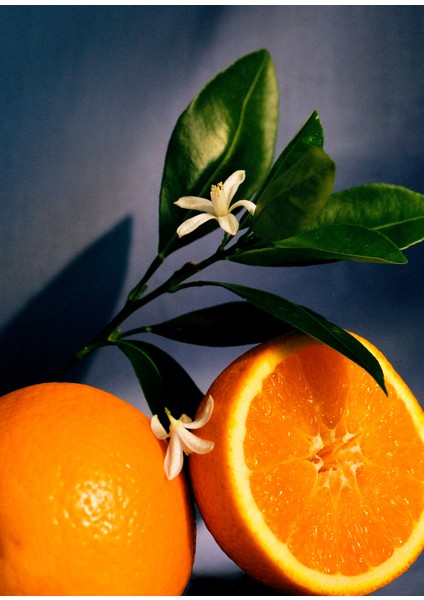 Orange Blossom Home Fragrance 150 ml modelleri