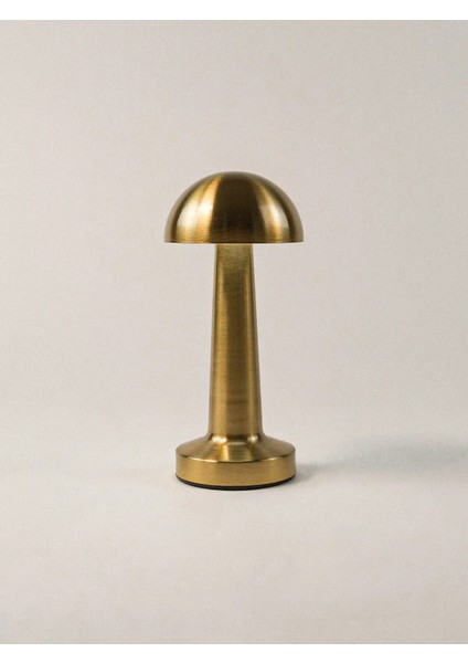 Grobe Gold Abajur (9 x 22 Cm)