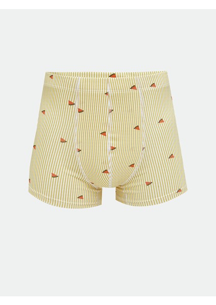 Yeni Sezon Standart Kalıp Pamuklu Esnek Erkek Boxer 3'lü modelleri