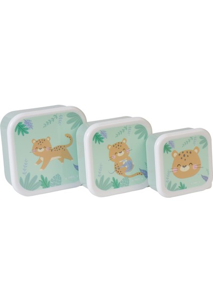 Cat 3'lü Beslenme Kutusu fiyatları