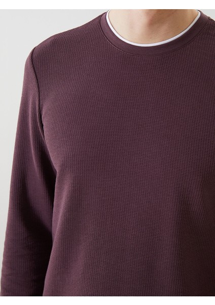 Yeni Sezon Bisiklet Yaka Uzun Kollu Erkek Sweatshirt modelleri