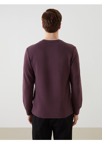 Yeni Sezon Bisiklet Yaka Uzun Kollu Erkek Sweatshirt fırsatları