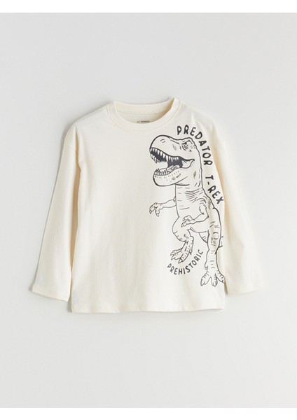 Yeni Sezon Bisiklet Yaka Erkek Çocuk Tişört 2'li fiyatları